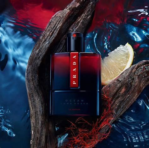 prada nieuwe parfum